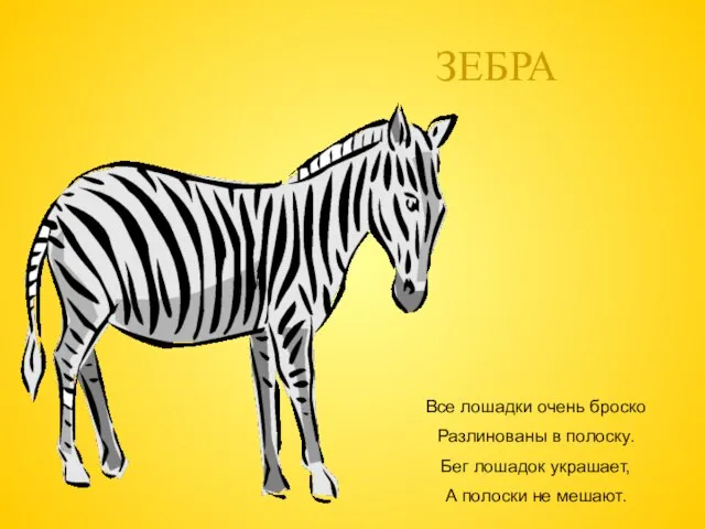 ЗЕБРА Все лошадки очень броско Разлинованы в полоску. Бег лошадок украшает, А полоски не мешают.