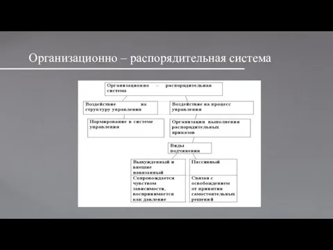 Организационно – распорядительная система