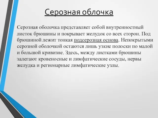 Серозная облочка Серозная оболочка представляет собой внутренностный листок брюшины и покрывает