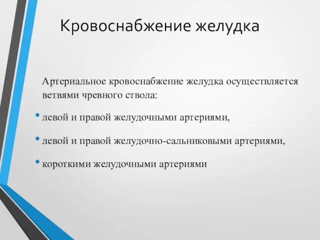 Кровоснабжение желудка Артериальное кровоснабжение желудка осуществляется ветвями чревного ствола: левой и