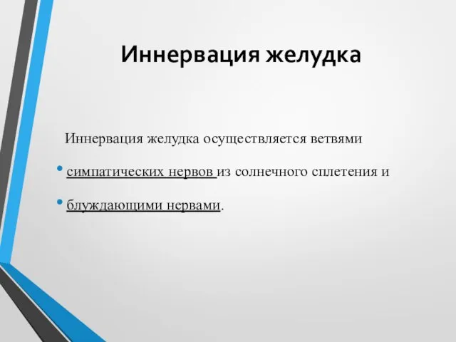 Иннервация желудка Иннервация желудка осуществляется ветвями симпатических нервов из солнечного сплетения и блуждающими нервами.