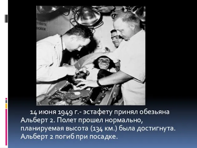 14 июня 1949 г.- эстафету принял обезьяна Альберт 2. Полет прошел