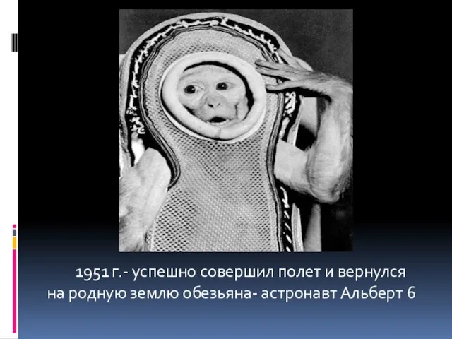 1951 г.- успешно совершил полет и вернулся на родную землю обезьяна- астронавт Альберт 6