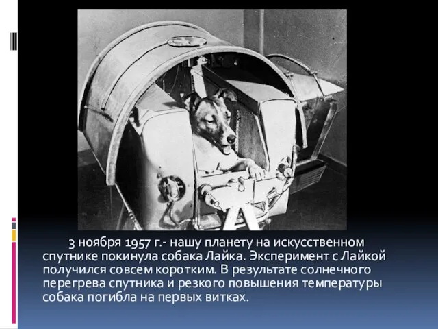 3 ноября 1957 г.- нашу планету на искусственном спутнике покинула собака