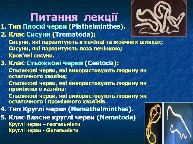 Питання лекції 1. Тип Плоскі черви (Plathelminthes). 2. Клас Сисуни (Trematoda):