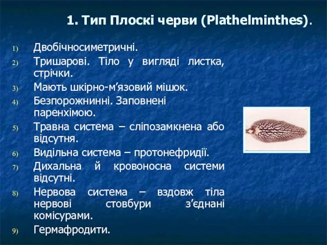 1. Тип Плоскі черви (Plathelminthes). Двобічносиметричні. Тришарові. Тіло у вигляді листка,