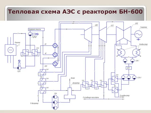 Тепловая схема АЭС с реактором БН-600