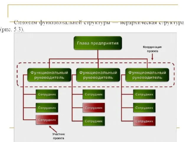 Проект и оргструктура компании