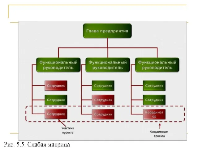 Проект и оргструктура компании