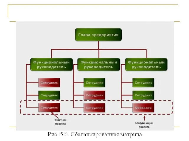 Проект и оргструктура компании