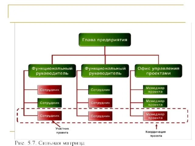 Проект и оргструктура компании