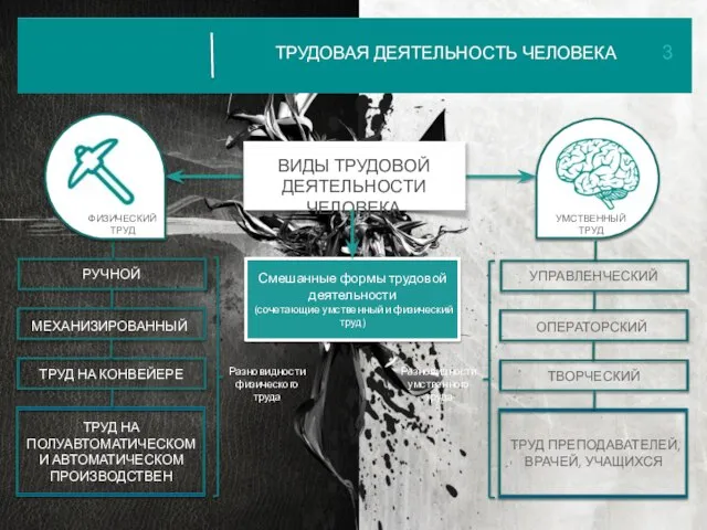 ТРУДОВАЯ ДЕЯТЕЛЬНОСТЬ ЧЕЛОВЕКА РУЧНОЙ МЕХАНИЗИРОВАННЫЙ ТРУД НА КОНВЕЙЕРЕ Разновидности физического труда