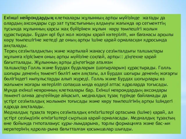 Екінші нейрондардың клеткалары жұлынның артқы мүйізінде жатады да олардың аксондары сұр