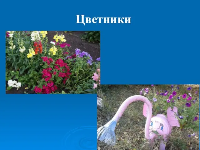 Цветники