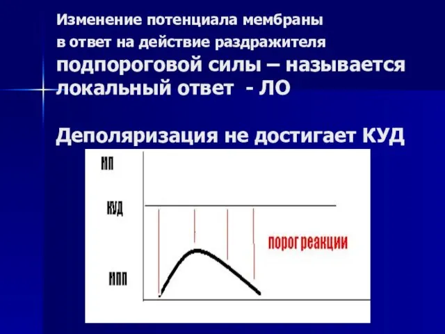 Изменение потенциала мембраны в ответ на действие раздражителя подпороговой силы –