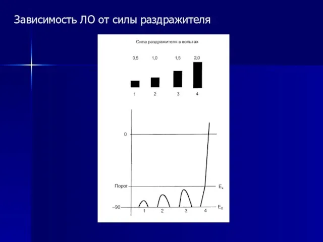 Зависимость ЛО от силы раздражителя