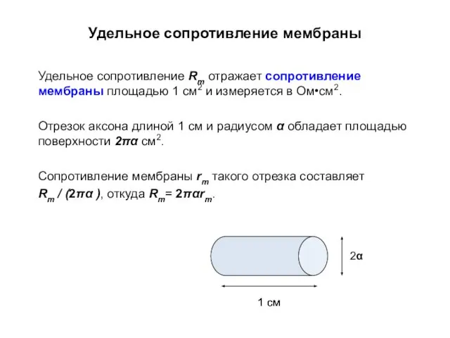 Удельное сопротивление мембраны Удельное сопротивление Rm отражает сопротивление мембраны площадью 1