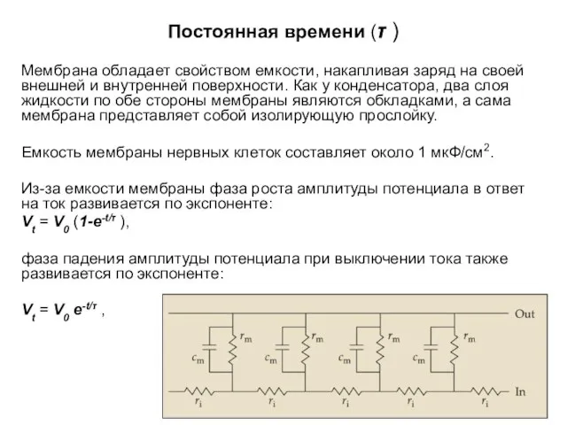 Постоянная времени (τ ) Мембрана обладает свойством емкости, накапливая заряд на