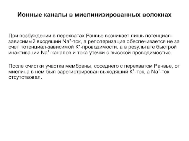 Ионные каналы в миелинизированных волокнах При возбуждении в перехватах Ранвье возникает