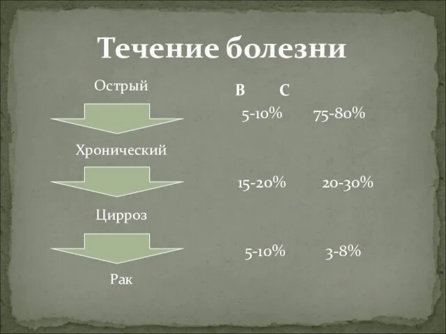 Течение болезни Острый Хронический Цирроз Рак В С 5-10% 75-80% 15-20% 20-30% 5-10% 3-8%