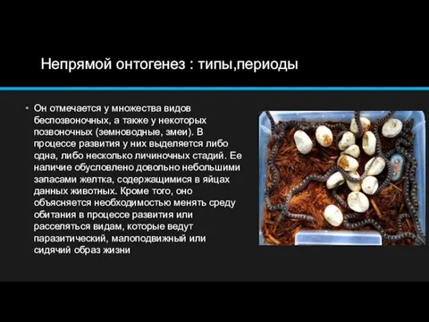 Непрямой онтогенез : типы,периоды Он отмечается у множества видов беспозвоночных, а