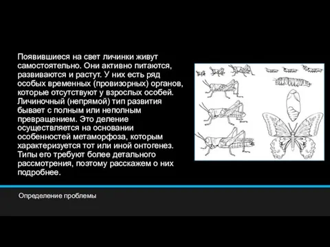 Появившиеся на свет личинки живут самостоятельно. Они активно питаются, развиваются и