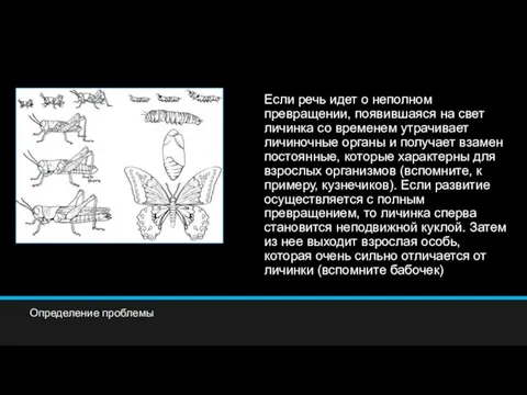 Если речь идет о неполном превращении, появившаяся на свет личинка со