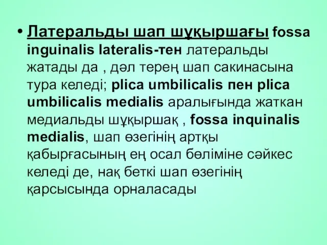 Латеральды шап шұқыршағы fossa inguinalis lateralis-тен латеральды жатады да , дәл