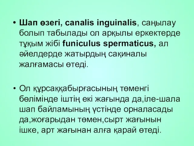 Шап өзегі, canalis inguinalis, саңылау болып табылады ол арқылы еркектерде тұқым