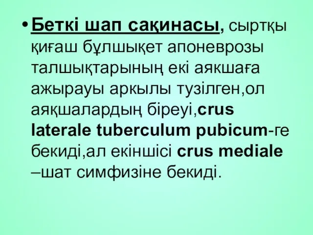 Беткі шап сақинасы, сыртқы қиғаш бұлшықет апоневрозы талшықтарының екі аякшаға ажырауы