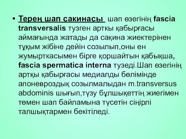 Терең шап сакинасы шап өзегінің fascia transversalis тузген арткы қабырғасы аймағында