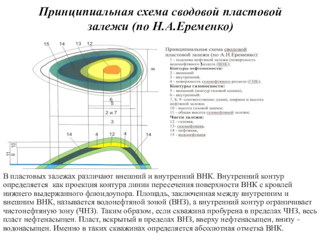 Принципиальная схема сводовой пластовой залежи (по Н.А.Еременко) В пластовых залежах различают