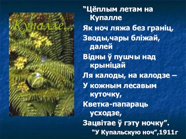 “Цёплым летам на Купалле Як ноч ляжа без граніц, Зводы,чары бліжай,