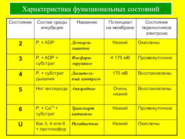 Характеристика функциональных состояний