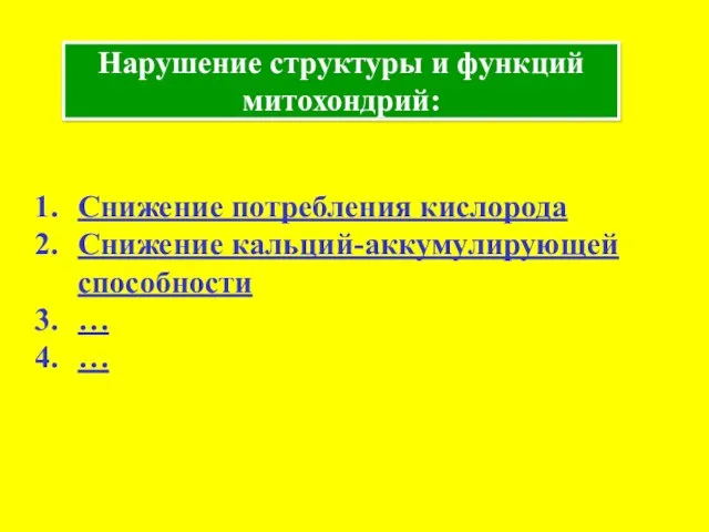 Нарушение структуры и функций митохондрий: Снижение потребления кислорода Снижение кальций-аккумулирующей способности … …