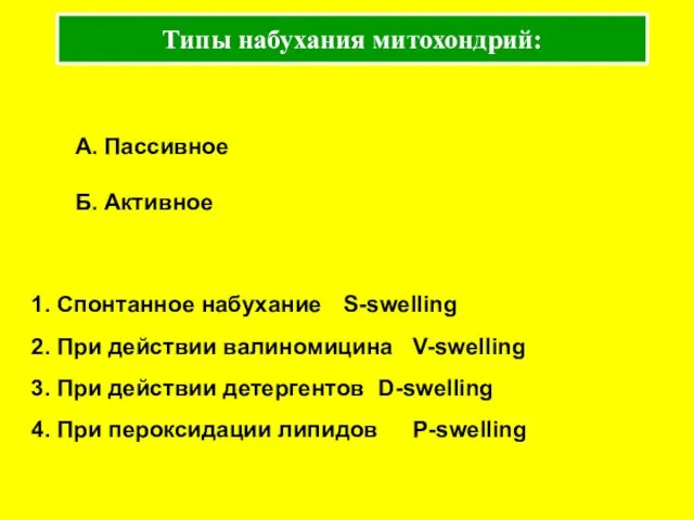 Типы набухания митохондрий: 1. Спонтанное набухание S-swelling 2. При действии валиномицина