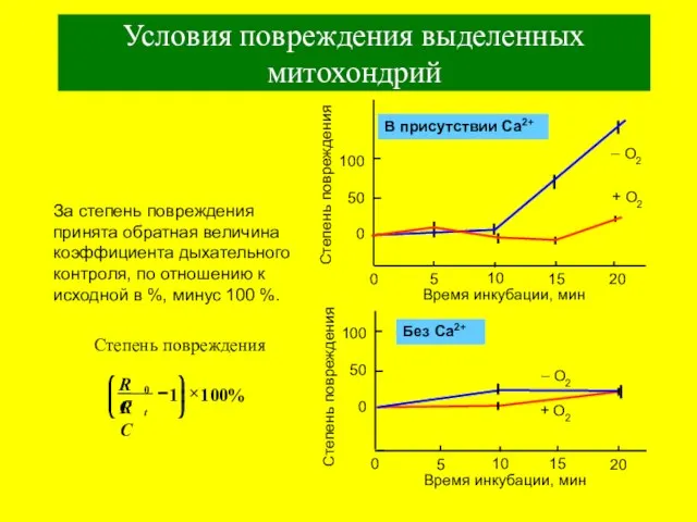 За степень повреждения принята обратная величина коэффициента дыхательного контроля, по отношению