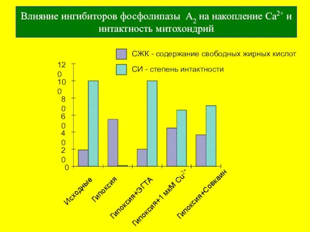 Влияние ингибиторов фосфолипазы А2 на накопление Ca2+ и интактность митохондрий Исходные