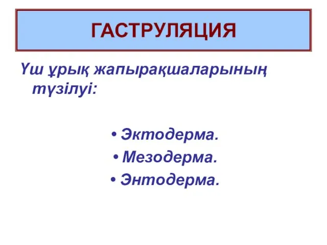 ГАСТРУЛЯЦИЯ Үш ұрық жапырақшаларының түзілуі: Эктодерма. Мезодерма. Энтодерма.