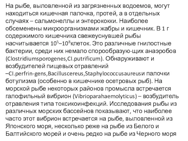 На рыбе, выловленной из загрязненных водоемов, могут находиться кишечная палочка, протей,