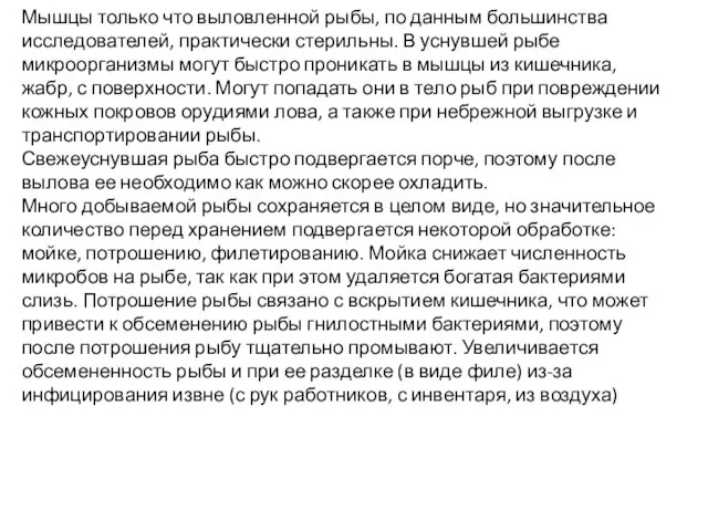 Мышцы только что выловленной рыбы, по данным большинства исследователей, практически стерильны.