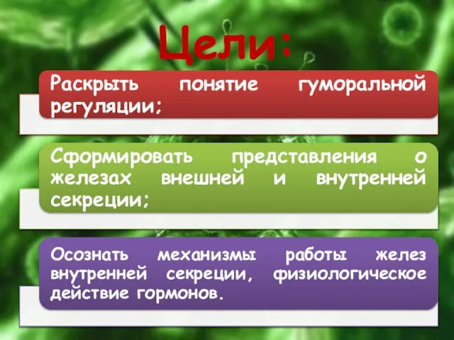 Цели: