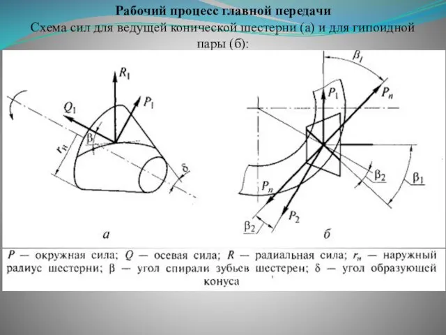 Рабочий процесс главной передачи Схема сил для ведущей конической шестерни (а) и для гипоидной пары (б):