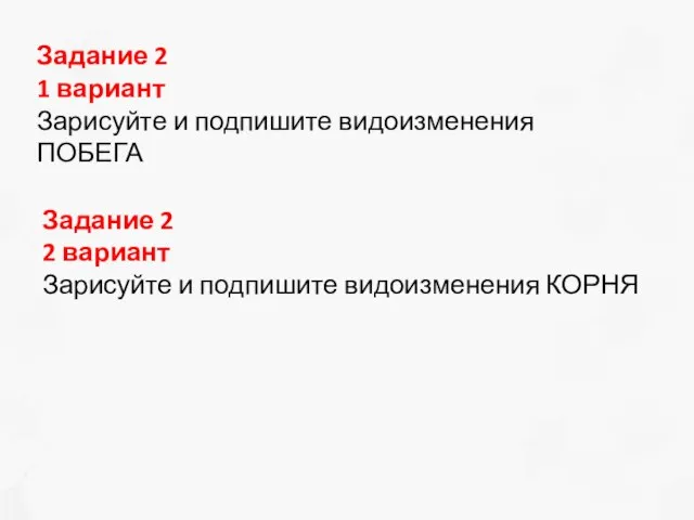 Задание 2 1 вариант Зарисуйте и подпишите видоизменения ПОБЕГА Задание 2