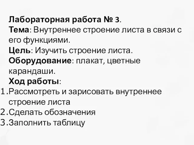 Лабораторная работа № 3. Тема: Внутреннее строение листа в связи с