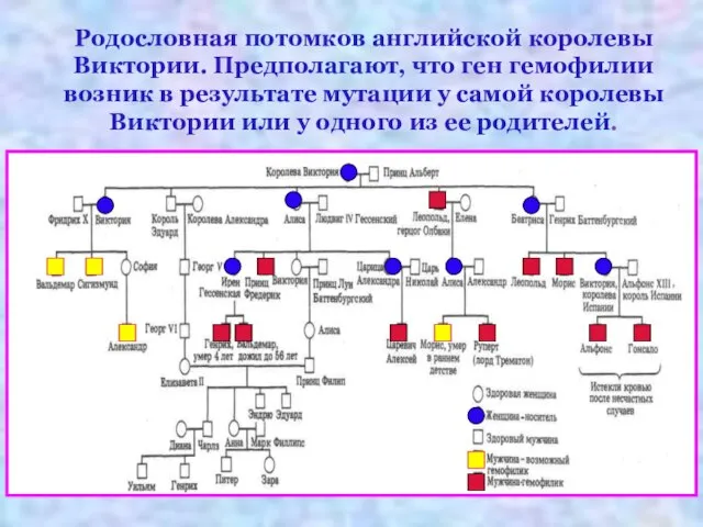 Родословная потомков английской королевы Виктории. Предполагают, что ген гемофилии возник в