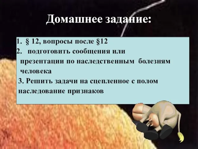 Домашнее задание: § 12, вопросы после §12 подготовить сообщения или презентации