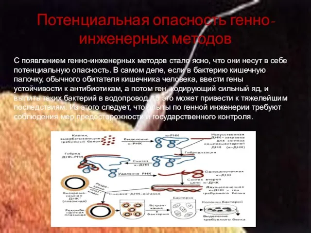 Потенциальная опасность генно-инженерных методов С появлением генно-инженерных методов стало ясно, что