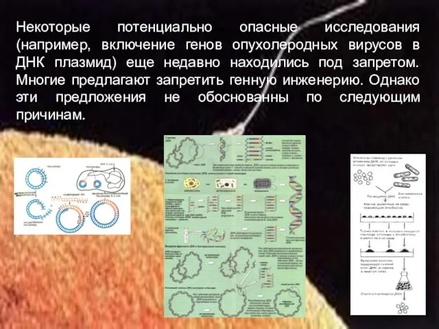 Некоторые потенциально опасные исследования (например, включение генов опухолеродных вирусов в ДНК