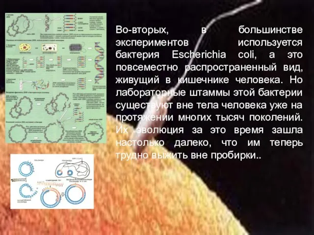 Во-вторых, в большинстве экспериментов используется бактерия Escherichia соli, а это повсеместно